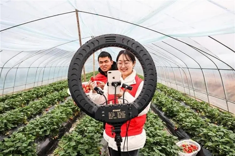 助农直播新形式，农产品新鲜直达